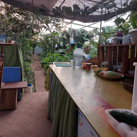 Twin In The Greenhouse Close To Mountains And Surf Paradise Parque de Campismo *