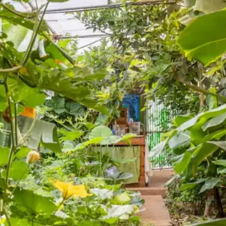 Camping Twin In The Greenhouse Close To Mountains And Surf Paradise *