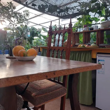 Twin In The Greenhouse Close To Mountains And Surf Paradise Tejina