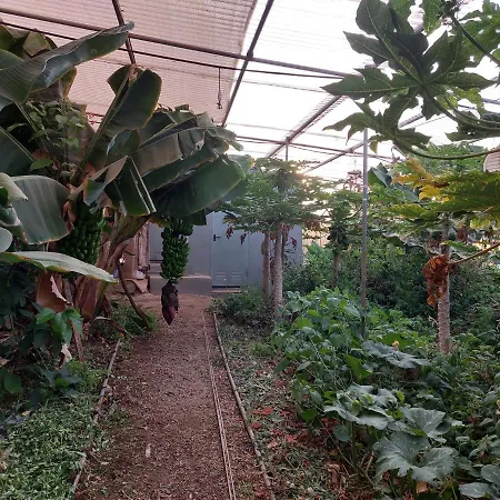 Campsite Twin In The Greenhouse Close To Mountains And Surf Paradise Tejina