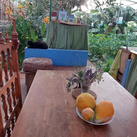 Campsite Twin In The Greenhouse Close To Mountains And Surf Paradise *