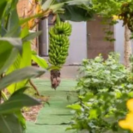 Twin In The Greenhouse Close To Mountains And Surf Paradise Campingplads *